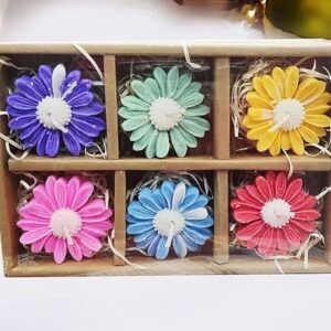 daisy flower pack of 6